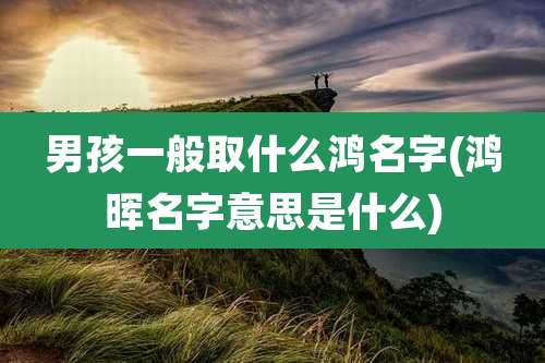 男孩一般取什么鸿名字(鸿晖名字意思是什么)