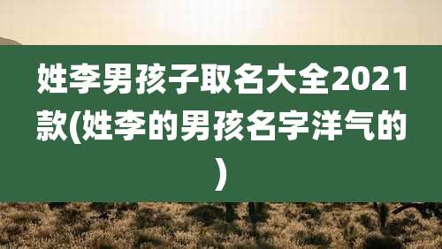 姓李男孩子取名大全2021款(姓李的男孩名字洋气的)