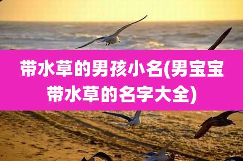 带水草的男孩小名(男宝宝带水草的名字大全)