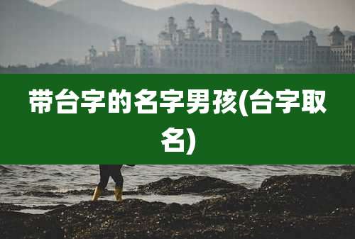 带台字的名字男孩(台字取名)
