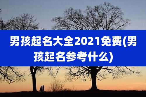 男孩起名大全2021免费(男孩起名参考什么)