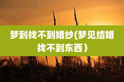 梦到找不到婚纱(梦见结婚找不到东西)