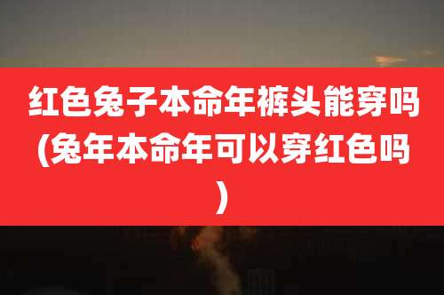 红色兔子本命年裤头能穿吗(兔年本命年可以穿红色吗)
