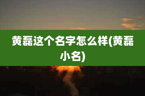 黄磊这个名字怎么样(黄磊小名)
