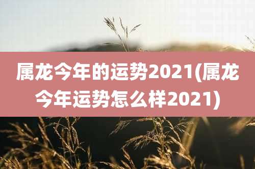 属龙今年的运势2021(属龙今年运势怎么样2021)