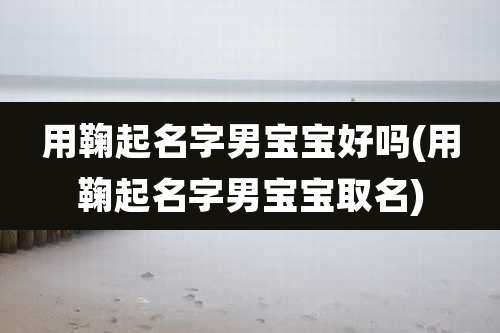 用鞠起名字男宝宝好吗(用鞠起名字男宝宝取名)