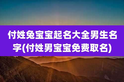 付姓兔宝宝起名大全男生名字(付姓男宝宝免费取名)