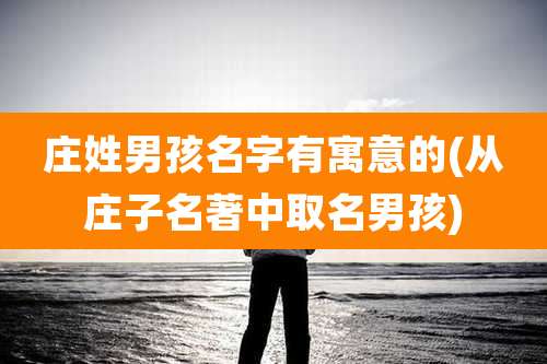 庄姓男孩名字有寓意的(从庄子名著中取名男孩)