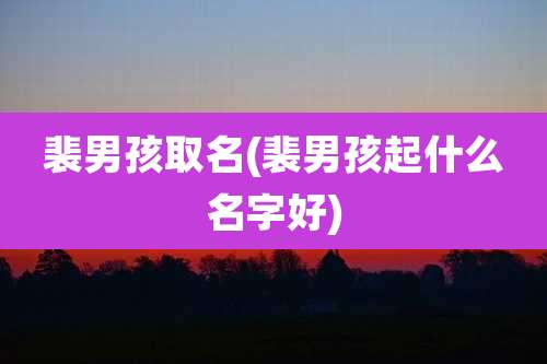 裴男孩取名(裴男孩起什么名字好)