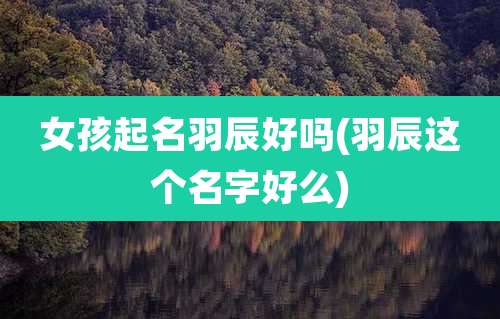 女孩起名羽辰好吗(羽辰这个名字好么)