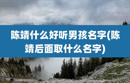 陈靖什么好听男孩名字(陈靖后面取什么名字)