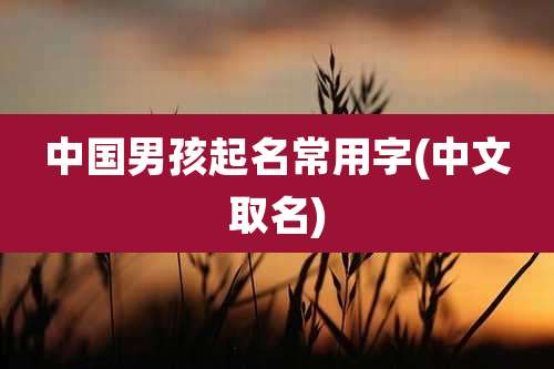 中国男孩起名常用字(中文取名)