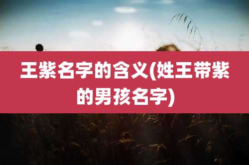 王紫名字的含义(姓王带紫的男孩名字)
