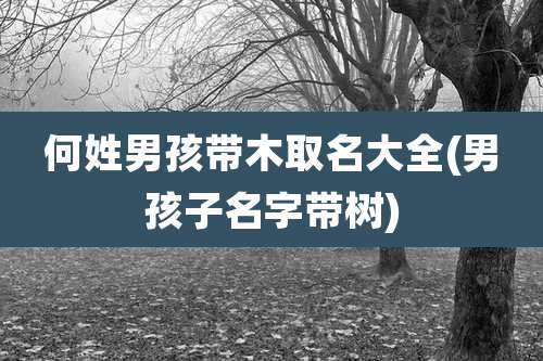 何姓男孩带木取名大全(男孩子名字带树)