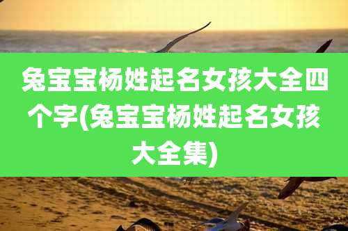 兔宝宝杨姓起名女孩大全四个字(兔宝宝杨姓起名女孩大全集)