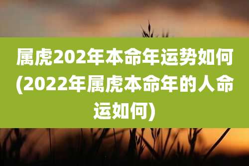 属虎202年本命年运势如何(2022年属虎本命年的人命运如何)