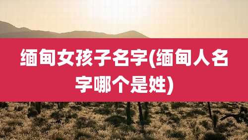缅甸女孩子名字(缅甸人名字哪个是姓)