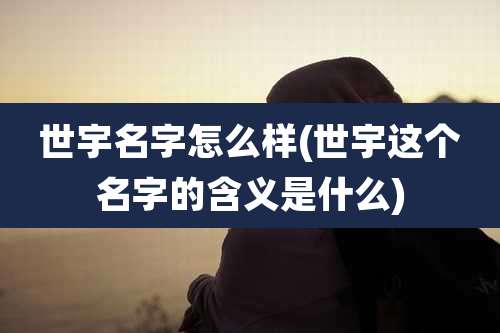 世宇名字怎么样(世宇这个名字的含义是什么)