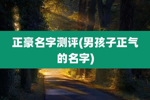 正豪名字测评(男孩子正气的名字)
