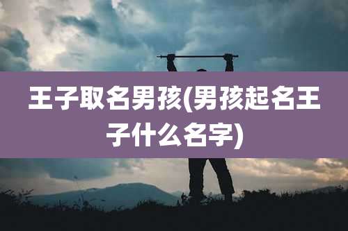 王子取名男孩(男孩起名王子什么名字)