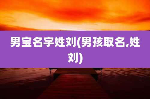 男宝名字姓刘(男孩取名,姓刘)