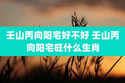 壬山丙向阳宅好不好 壬山丙向阳宅旺什么生肖