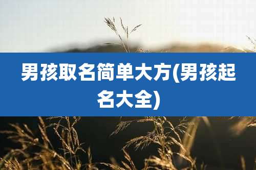 男孩取名简单大方(男孩起名大全)