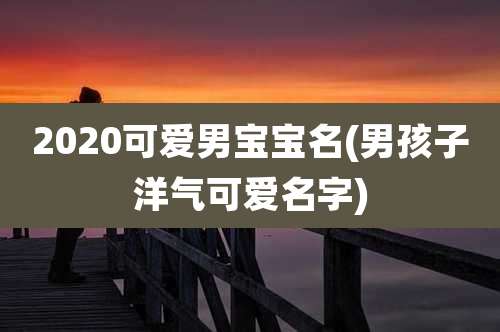 2020可爱男宝宝名(男孩子洋气可爱名字)