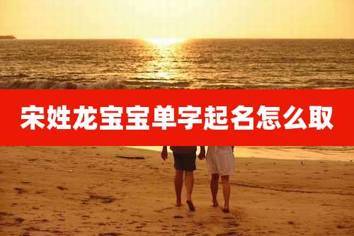 宋姓龙宝宝单字起名怎么取