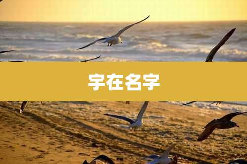 宇在名字