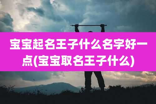 宝宝起名王子什么名字好一点(宝宝取名王子什么)