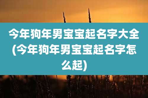 今年狗年男宝宝起名字大全(今年狗年男宝宝起名字怎么起)
