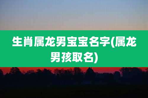 生肖属龙男宝宝名字(属龙男孩取名)