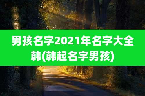 男孩名字2021年名字大全韩(韩起名字男孩)