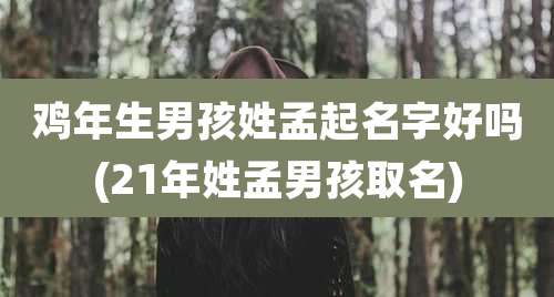鸡年生男孩姓孟起名字好吗(21年姓孟男孩取名)