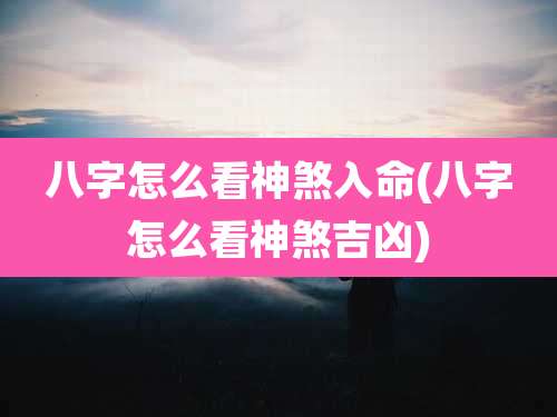 八字怎么看神煞入命(八字怎么看神煞吉凶)