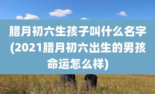 腊月初六生孩子叫什么名字(2021腊月初六出生的男孩命运怎么样)
