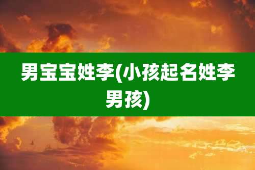 男宝宝姓李(小孩起名姓李男孩)