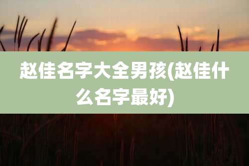 赵佳名字大全男孩(赵佳什么名字最好)