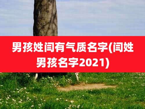 男孩姓闫有气质名字(闫姓男孩名字2021)
