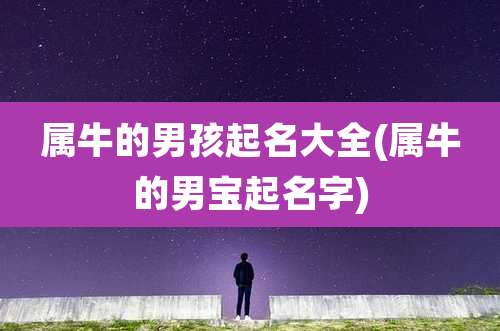 属牛的男孩起名大全(属牛的男宝起名字)