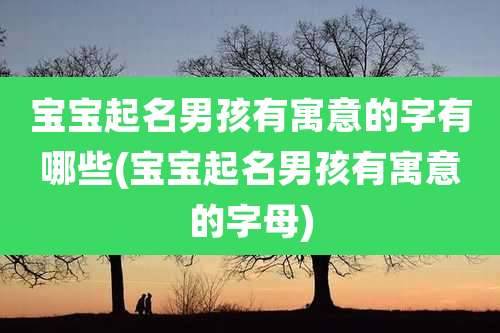 宝宝起名男孩有寓意的字有哪些(宝宝起名男孩有寓意的字母)