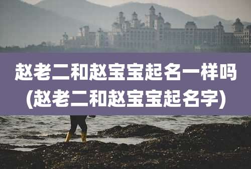 赵老二和赵宝宝起名一样吗(赵老二和赵宝宝起名字)