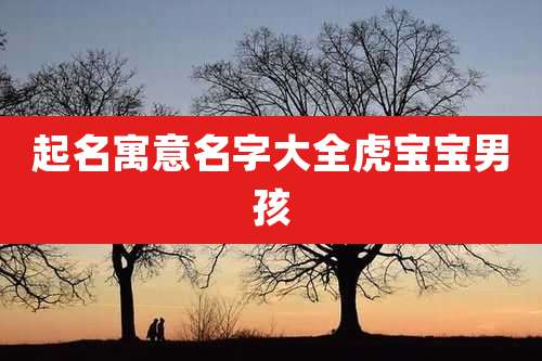 起名寓意名字大全虎宝宝男孩