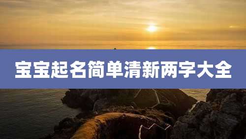 宝宝起名简单清新两字大全