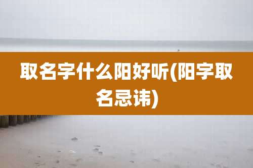 取名字什么阳好听(阳字取名忌讳)