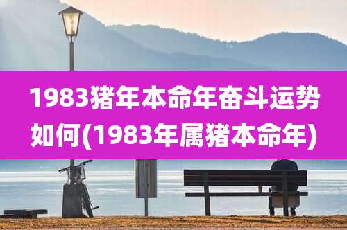 1983猪年本命年奋斗运势如何(1983年属猪本命年)