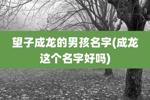 望子成龙的男孩名字(成龙这个名字好吗)