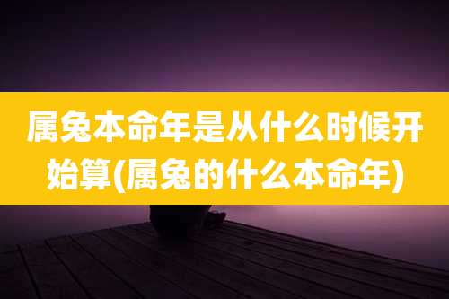 属兔本命年是从什么时候开始算(属兔的什么本命年)