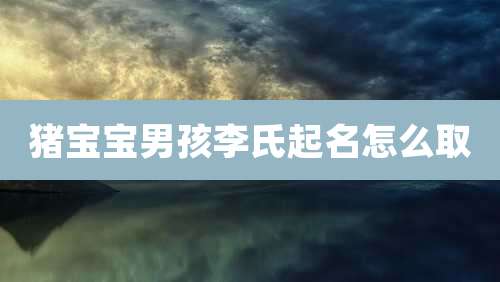 猪宝宝男孩李氏起名怎么取